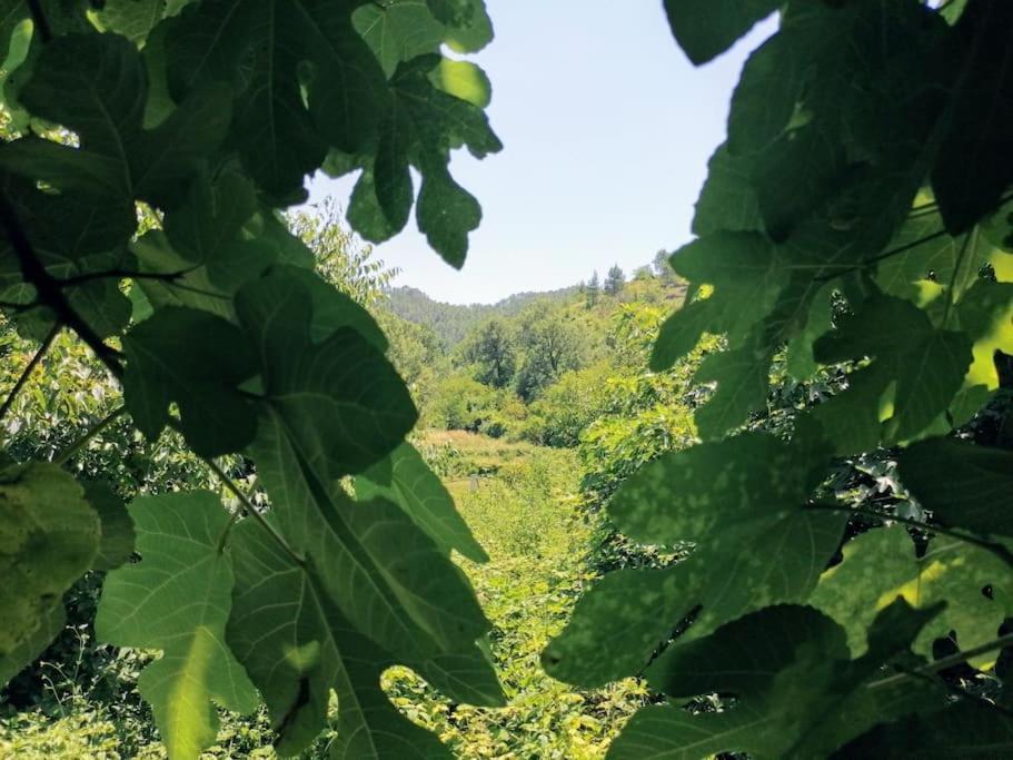 Villa La Casirria Olba Esterno foto