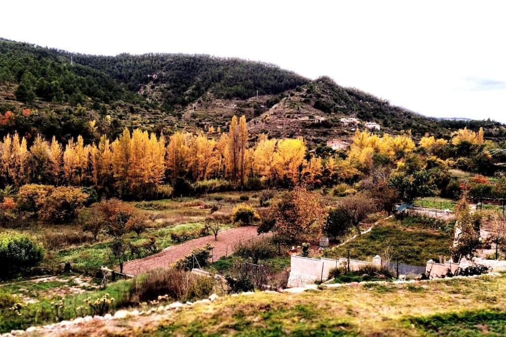 Villa La Casirria Olba Esterno foto
