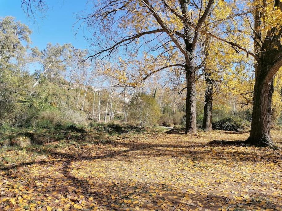 Villa La Casirria Olba Esterno foto